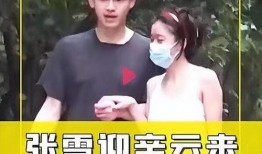 刘大锤最新爆料辛云来,辛云来背后惊人真相曝光！