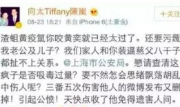 娱乐圈极品前任爆料小说